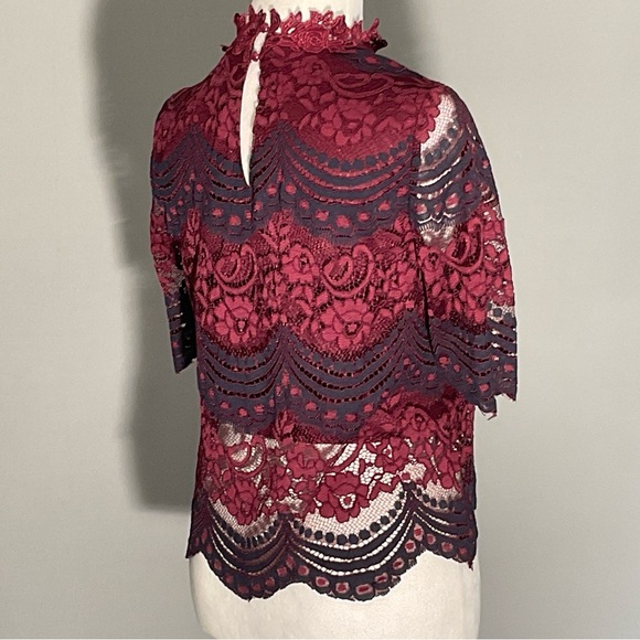 It Girl Burgundy/Navy, Scalloped Lace, Sheer, Lined, Demure, Victorian Blouse - Picture 11 of 16